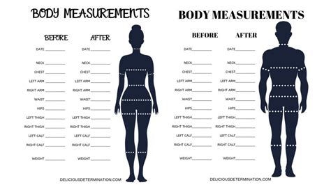 muscle and strength body measurements